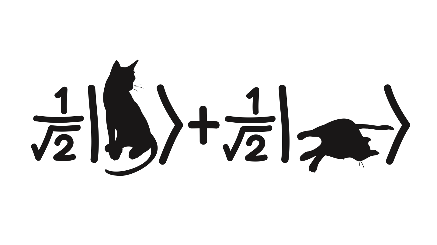 De wonderen van de quantumwereld If quantum mechanics hasn't profoundly shocked you, you