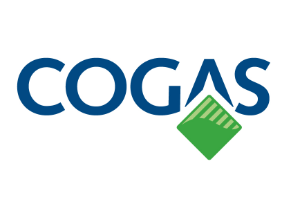 Richtlijn bouwkasten TOEPASSINGSGEBIED: Het gehele Cogas elektriciteitsgebied. 1 DOELSTELLING Eisen voor bouwkasten t.b.v. tijdelijke en bouw- aansluitingen met een maximale doorlaatwaarde van 3x80A.