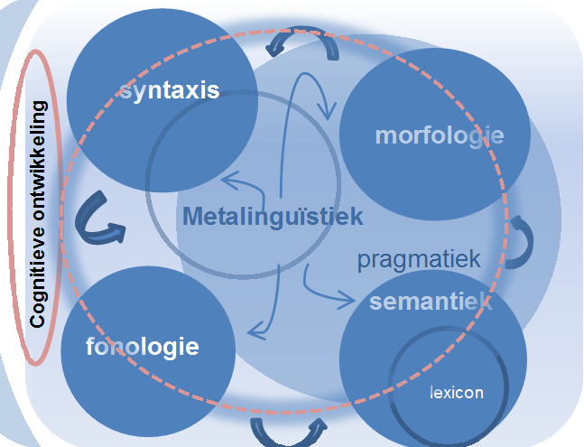 Figuur 3: Alle taalonderdelen kunnen vertraagd zijn bij een leerling met lagere cognitieve capaciteiten Sommige van deze leerlingen stromen uit naar het vmbo basis- en kaderberoepsgerichte leerwegen