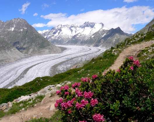 Aletschgletsjer Ook zijn er in Wallis vele gletsjers, de langste gletsjer is de Aletschgletsjer met ongeveer 23 km lengte, de laatste jaren is er een sterke