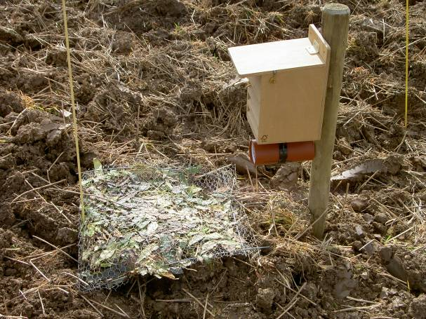 verschillende KLE voor natuurlijke vijanden te vergelijken, en geven een indruk in hoeverre deze KLE als brongebied voor natuurlijke vijanden in het voorjaar kunnen dienen. Figuur 3.1.