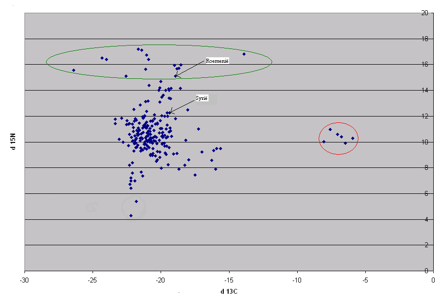 Figuur 7 De δ 13 C- en δ 15 N-waarden in van de mens 4.2 