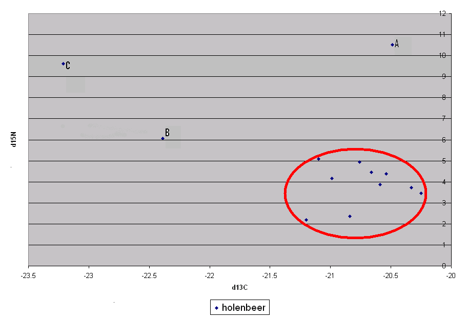 In figuur 13 zijn de δ 13 C- en δ 15 N-waarden van de holenberen uitgezet.