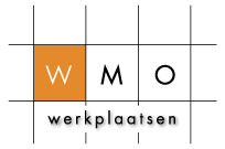 Workshop Introductie Wmo Wmo-werkplaats Groningen-Drenthe 28 juni 2012 Lies Korevaar Lesprogramma Kennismaking en uitleg programma Wat is de Wmo?