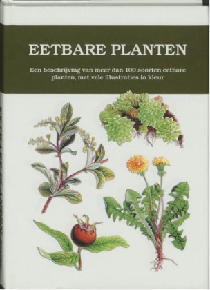 Inleiding Tijdens deze les wil ik het gaan hebben over eetbare wilde planten.