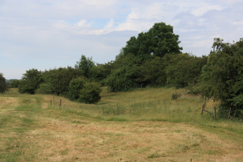 Reliëfrijke graslanden in het oostelijke deel van de Redichemsche Waard, met rechts de begroeide zomerkade. Na 1500 is de hoofdbedding niet noemenswaardig van plaats veranderd.