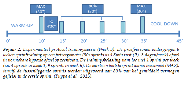 CON waren alle metingen constant doorheen de gehele studie.