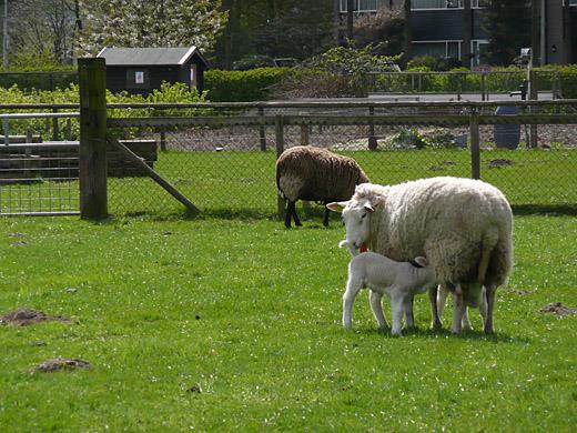 Zwolle Stad Zwolle Wie in Zwolle arriveert, ziet direct dat in deze stad zowel historie als heden sterk zijn vertegenwoordigd.