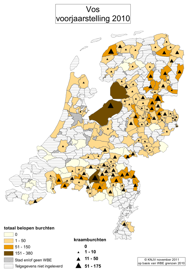 Vos landelijk 140 120 indexcijfer 100 80 60 40 20 0 1994 1996 1998 2000 2002 2004 2006 2008 2010* 2012* Fig.1. Landelijk indexcijfer vos (2000 is 100) (Bron: NEM (VZZ,CBS) Fig.