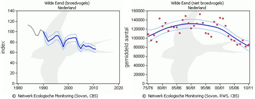Fig. 2. Index broedvogels (Broedvogel Monitoring Project) en Gemiddeld aantal niet broedvogels wilde eend in Nederland, (Watervogelmeetnet).