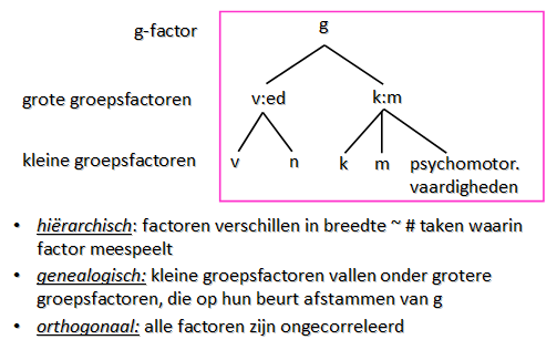 Test g groepfactor 1 groepsfactor 2 T1.40.70.08 T2.50.60.05 T3.40.80.10 T4.30.00.90 T5.60.10.70 Werkwijze? 1. extractie van g-factor 2. extractie van groepsfactoren 3.