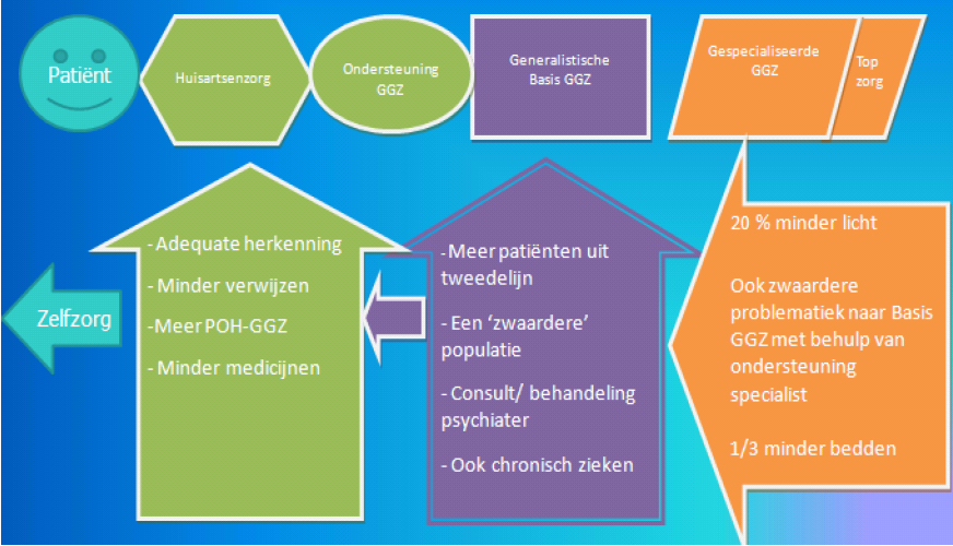 Wie doet nu wat in de GGZ?