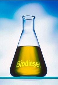 T Biodiesel Sven Rogiers, Stef Mattheyses, Caroline Janssens & Nick Aernouts We hebben biodiesel bereid vanuit Jatropha-olie en gebruikte frituurolie met als veresteringsreagens methanol of butanol.