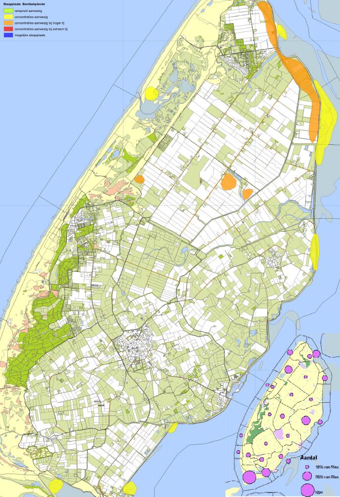 Trend Sinds 1998/99 is het aantal bontbekplevieren op Texel sterk toegenomen, van 90 tot 170.