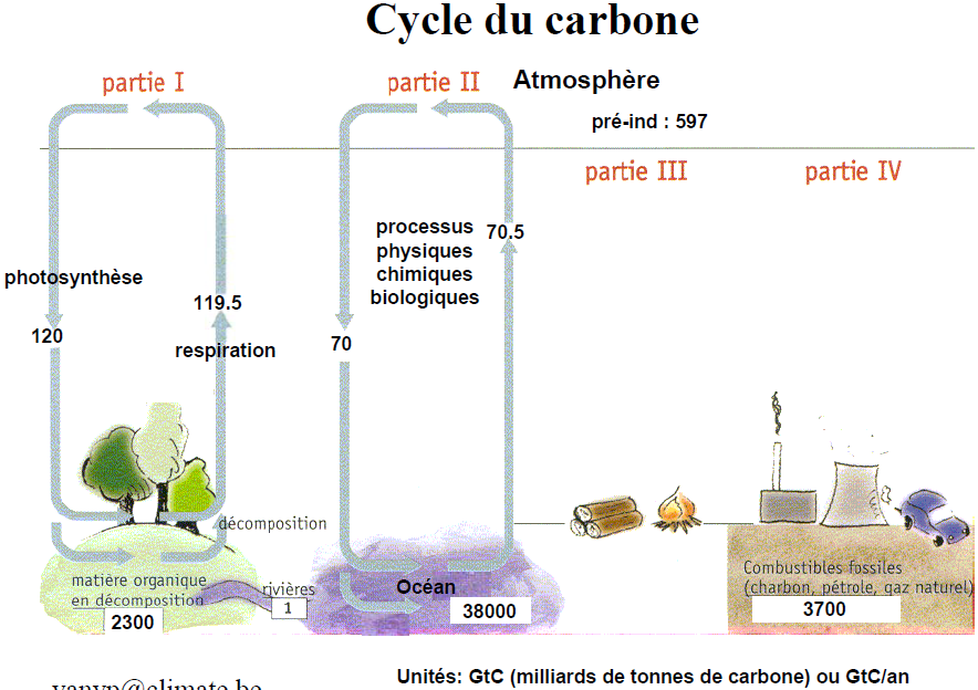 Koolstofcyclus