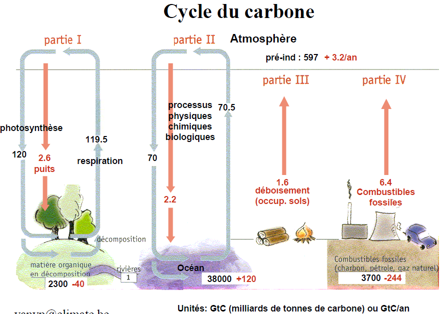 Koolstofcyclus
