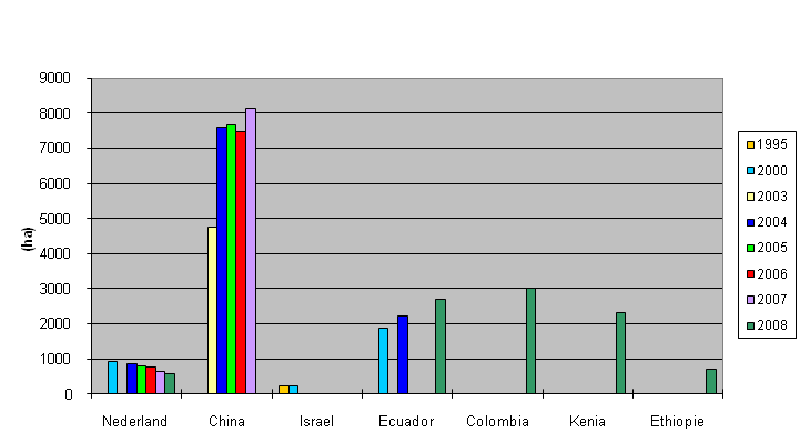 Deze 500 ha in Afrika is echter van ca. 20 ondernemers terwijl het aantal telers in Nederland wordt geschat op 200. Het wereldwijde rozenareaal telt zo n 10.