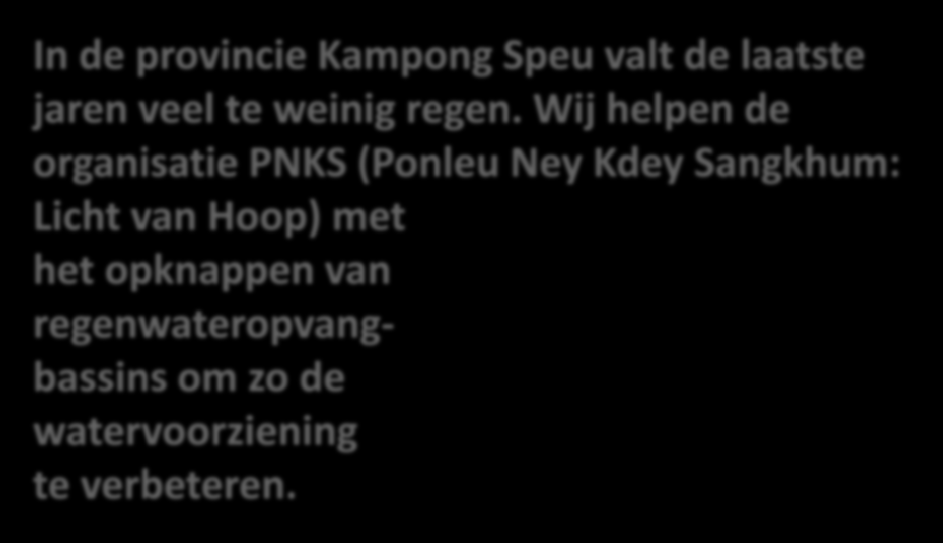 Wij helpen de organisatie PNKS (Ponleu Ney Kdey Sangkhum: