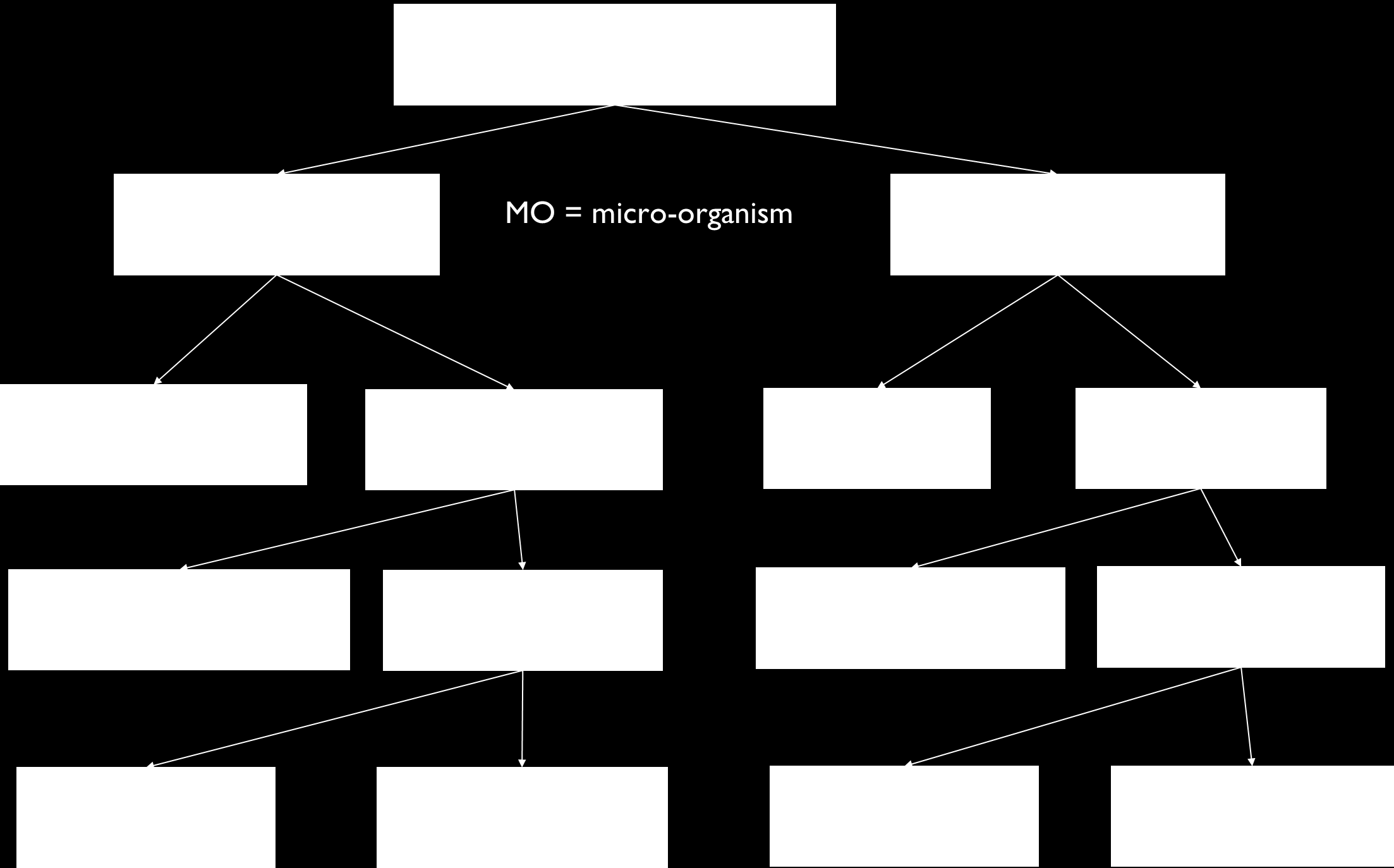 Dientamoeba fragilis Schema 8 Refereeravond 21