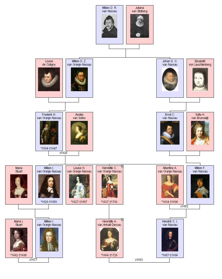 van Frederik Hendrik en dus een volle nicht van haar man. Haar ouders zijn Johan Georg II van Anhalt-Dessau en Henriëtte Catharina van Oranje-Nassau, zuster van Albertine Agnes.