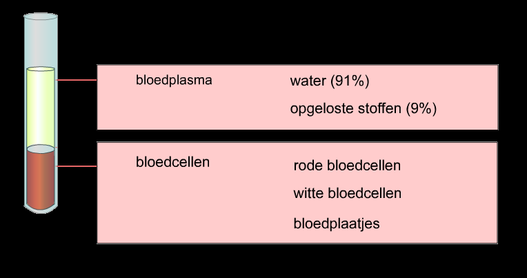 SAMENSTELLING