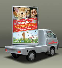 .. en ook bij de erkende dierenasielen in België! De autosticker op het voertuig van de consument is een bewijs van zijn actieve deelname aan deze grootschalige steunactie!