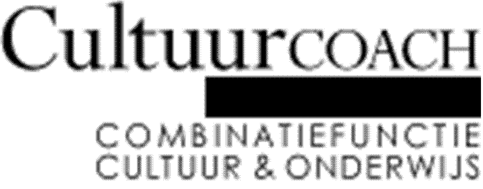 De Cultuurformatie De Cultuurformatie stimuleert de culturele sector om combinatiefuncties mogelijk te