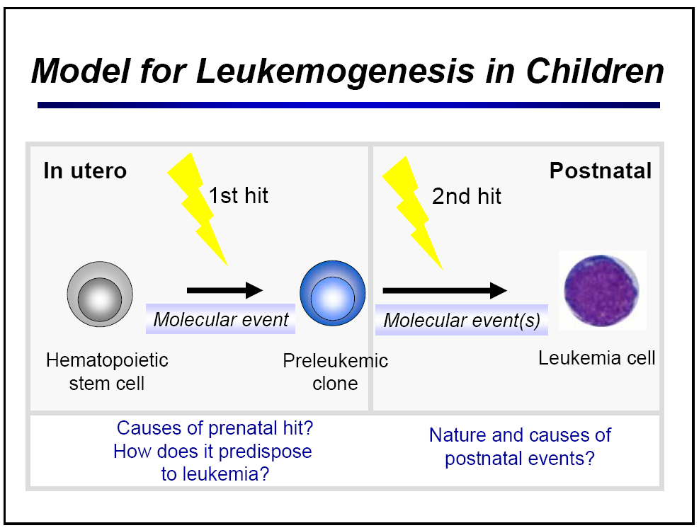 Bij B-cel ALL is een piekincidentie aangetoond tussen de leeftijd van 2 en 5 jaar (1, 11). Dit is de leeftijdsgroep waar nog geen goed ontwikkeld immuunsysteem aanwezig is.