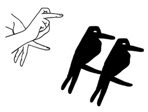 Handschaduwen: dieren Achterkant Handschaduwen: dieren Met je handen kun je ook schaduwen maken, bijvoorbeeld van een spin of een vogel (zie de achterkant van de kaart).