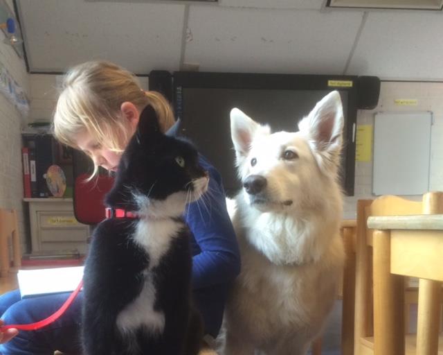 Leeshond en leespoes De leeshond Sabra zal ook dit jaar weer kinderen ondersteune, die wat moeite hebben met lezen.