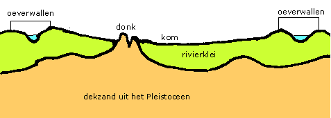 VOOR HET ONTSTAAN VAN DE ROTTE 300.000 800 v. Chr. Het gebied waar nu de Rotte ligt is in de vroegste tijden afwisselend nat of droog. Tussen 300.000 v. Chr. en 12.000 v. Chr. ligt het onder dikke ijskappen, is het een toendra of ligt het zelfs aan zee.