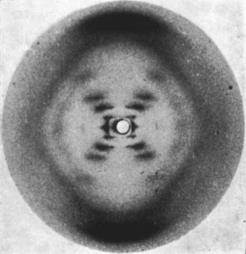 Q E-I Pagina 1 van 6 Diffractie door helix structuren (Totaal aantal punten: 10) Inleiding De Röntgen diffractie foto van DNA (Figuur 1), gemaakt in het laboratorium van Rosalind Franklin, staat
