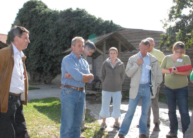 Bouwen, mest en milieu Overleg inzake stedenbouwkundige vergunningen Actie 8 Vlaams Actieplan voor de Paardenhouderij Studiedag met bedrijfsbezoeken Landschapsintegratie Aangepast beoordelingskader