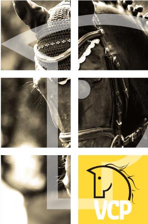 Memorandum beleid paardensector 2014-2019 Erkenning van de vzw Vlaamse Confederatie van het Paard (VCP) in zijn geheel als