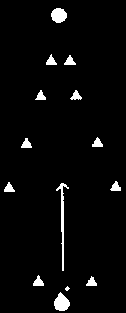 De trechter Probeer van achter de 2 pilonnen de bal door de trechter te spelen. Hoe verder je de bal er doorheen kunt spelen, hoe beter het is. Eventueel kun je per "poortje" 1 punt tellen.