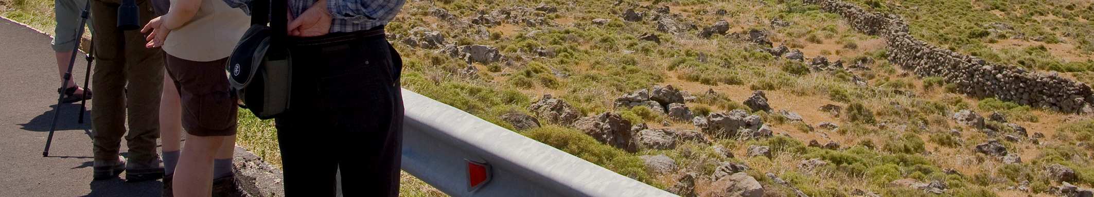 van de vogelkijkhut. Daarna door naar moerasgebied waar 18 auto's staan: Vorkstaartplevier, sterns (Zwarte, Witvleugel, Witwang, Dwerg, Visdief), Zwarte Ibis, Steltkluut, Ralreiger.