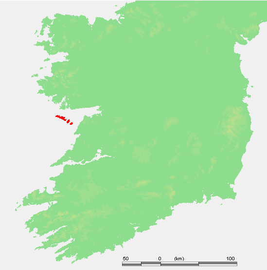 Inishbofin Arann