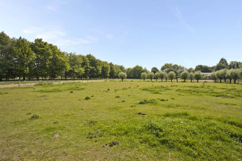 Bakelseweg 8 te Aarle-Rixtel In het buitengebied, aan de rand van het dorp, gelegen riante vrijstaande woonboerderij (ca. 1.