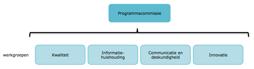 9 Programmaorganisatie 9.