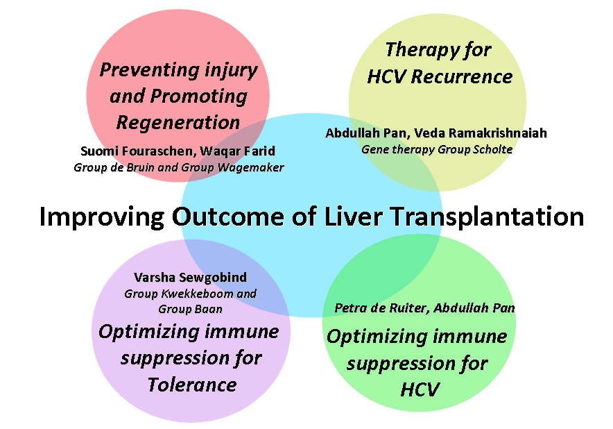 Het onderzoek is translationeel van aard en heeft tot doel de basale en toegepaste kennis te vergroten, teneinde het succes van lever transplantatie te vergroten.