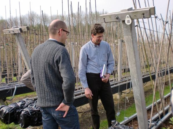 Bloembollen Stichting ROL test lelieteelt los van de ondergrond Stichting ROL (Regionaal Onderzoek Lelieteelt) heeft op haar proefveld bij Wapse een praktijkproef ingezet van lelieteelt in goten in