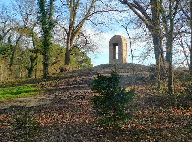 Doodweg Groenendaal (zo dus niet) Bloemendaalse bos Elswoutslaan in Overveen (streefbeelden laanboomvervanging) 4.1.