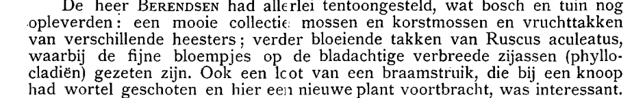 De Afdeeling Haarlem maakte op 24 september 1904 een excursie naar de Castricumse duinen. In een dorpstuintje werd volgens het verslag nog even een paar meter hoge Ricinusplan bewonderd.