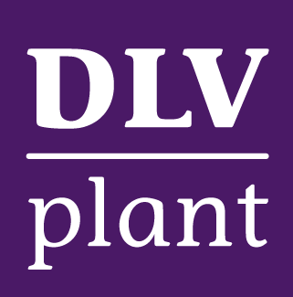 Uitvoering DLV Plant BV/ KICK Lingewal 1 6668 LA Randwijk www.dlvplant.nl Ing. H. (Heino) van Doornspeek h.
