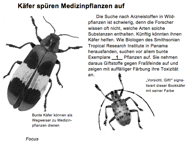 verpuffen, werden eine eigene Schriftenreihe und ein neues Portal Bildungsforschung auf der Homepage des Ministeriums installiert. 4 Das klingt alles recht gut.