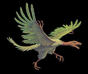 De Pterodactylus was ook een vliegend reptiel. Hij komt uit het tijdvak Jura. Zijn vlieghuid zat vast aan de vierde vinger van zijn voorste ledematen. Dactylus betekent vinger.