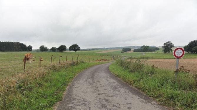 Volgens de kaart is deze weg de grensweg. Rechts van ons is Frankrijk en aan de linkerkant is het Luxemburgs grondgebied.