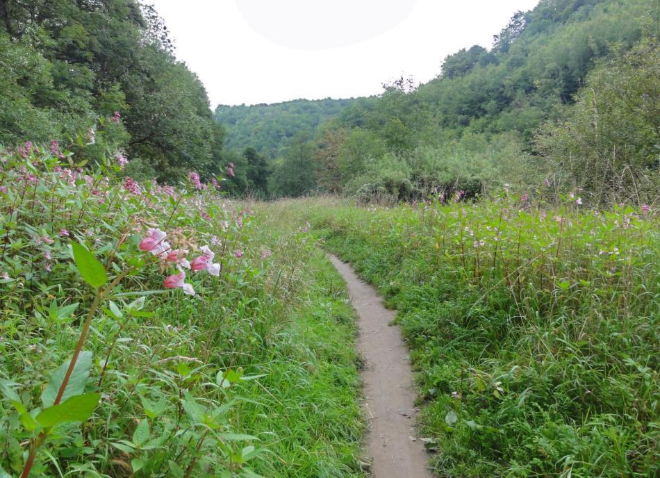 Dinsdag 16 aug Durbuy - Oost Maarland 81 km Laagste punt: 51 m Hoogste punt: 256 m Totale stijging: 400 m Totale daling: 550 m Fietsweer: half bewolkt, 16-24 0 C Ook deze morgen stopt het met regenen