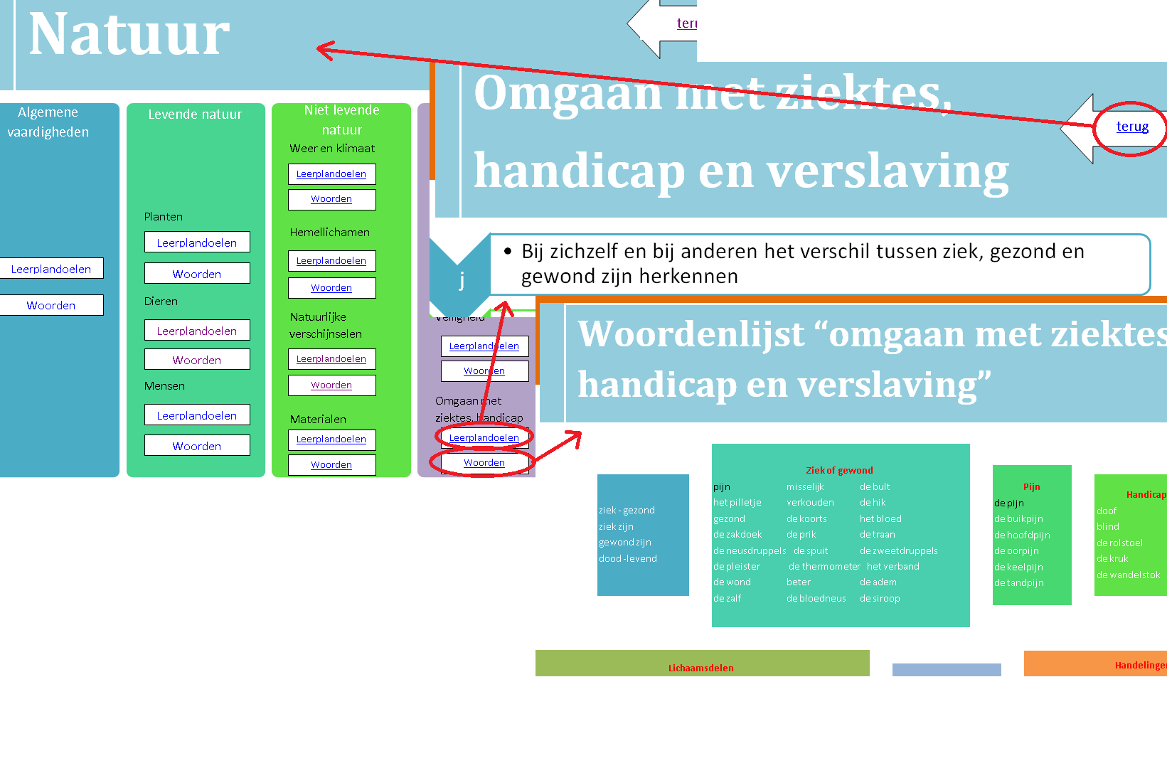 Situatie 4: De leraar vertrekt van interesses van kinderen Aanpak Voorbeeld De leraar navigeert naar het leergebied en het desbetreffende domein waarnaar de interesse uitgaat en vervolgens naar de