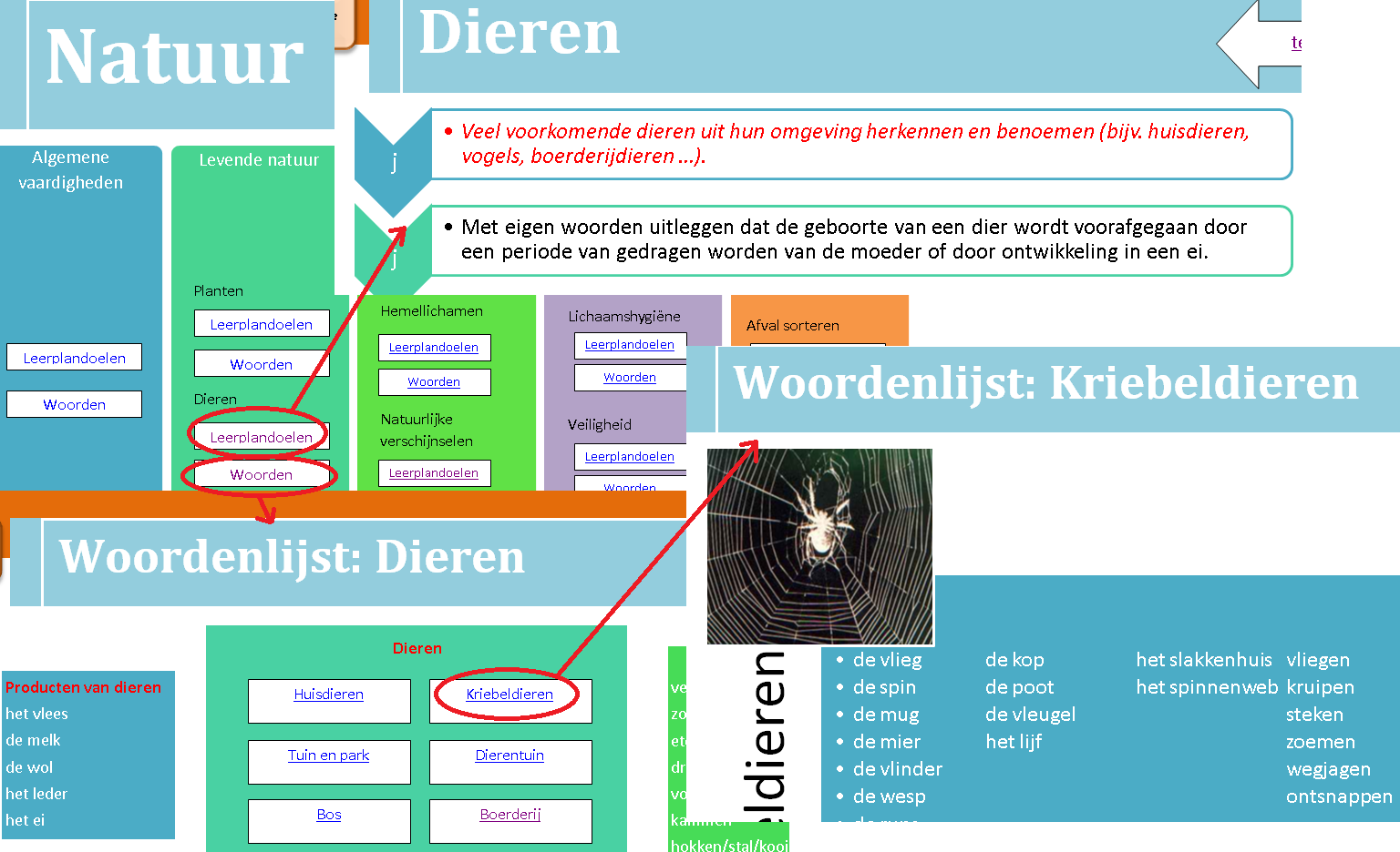 Situatie 3: De leraar organiseert een onderzoeke Aanpak Voorbeeld De leraar navigeert naar het leergebied en het desbetreffende domein en vervolgens naar de leerinhoud.